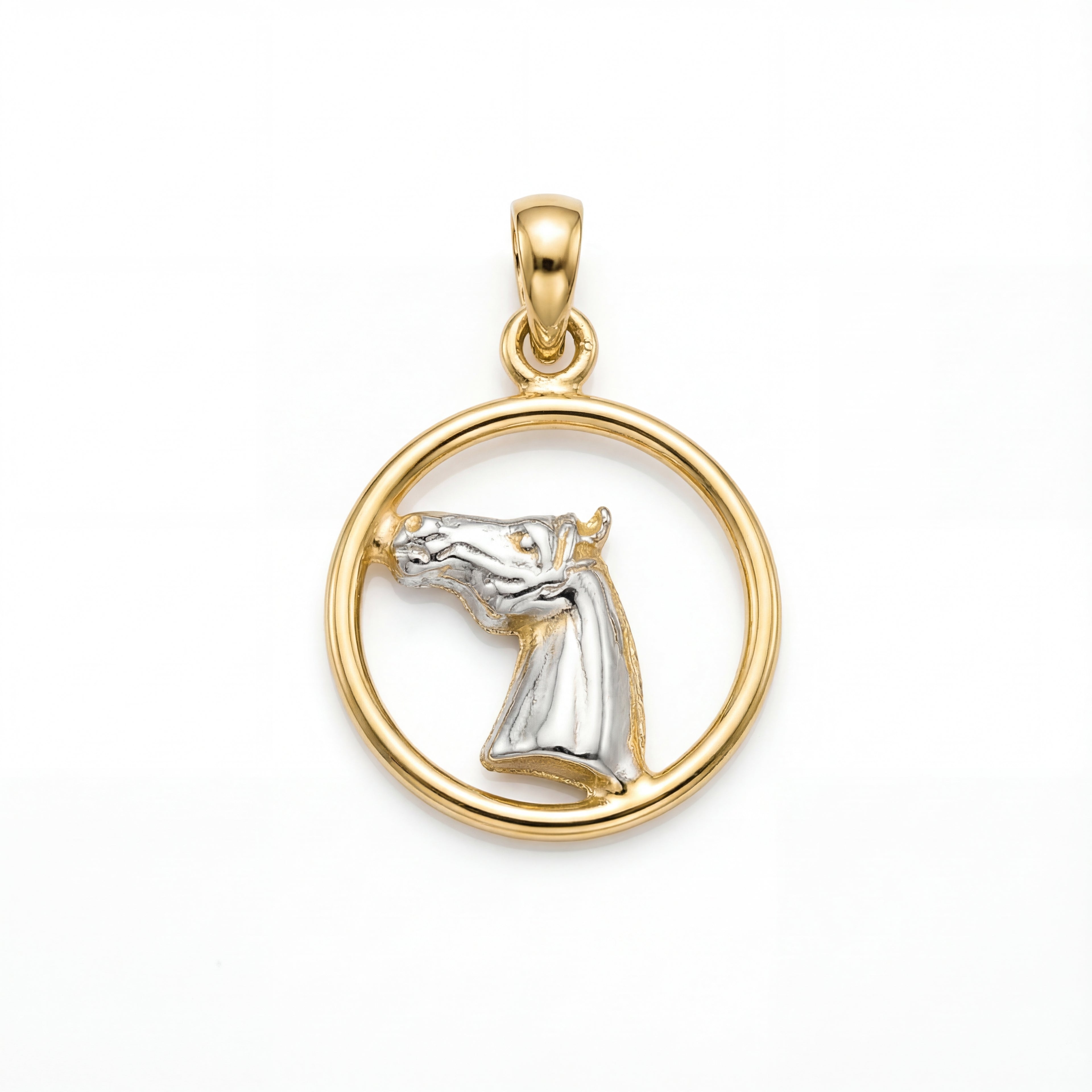 Gold and silver horse head pendant on a white background