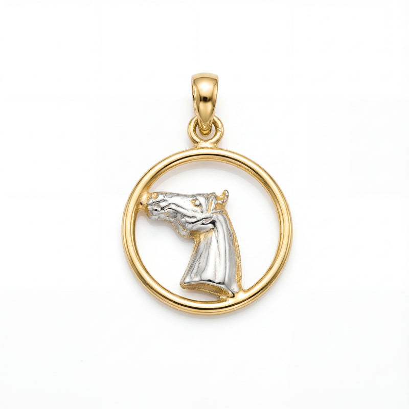 Gold and silver horse head pendant on a white background