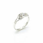 Silver Blossom