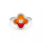 Floral Blossom